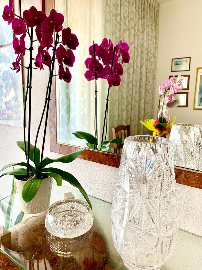 Bed & Breakfast Acquamarina Castro  Buitenkant foto